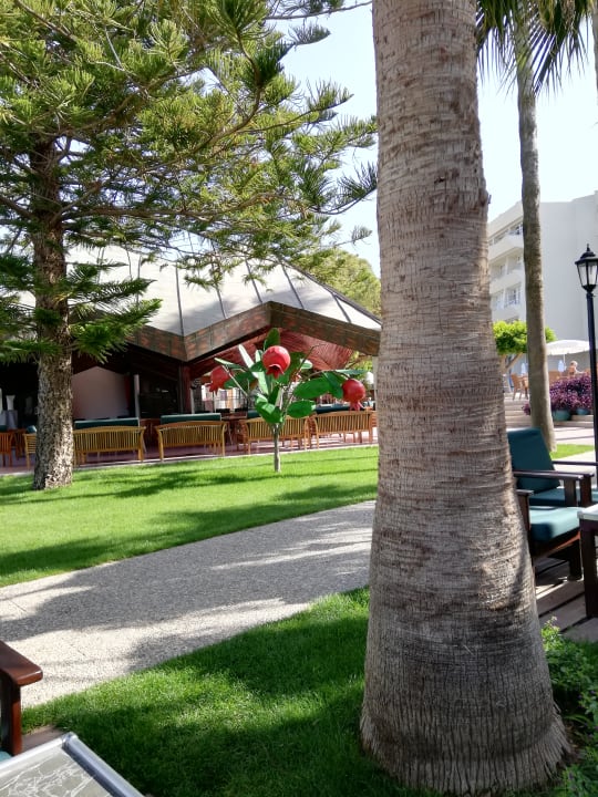 Gartenanlage Nerton Hotel - Erwachsenenhotel ab 16 Jahren