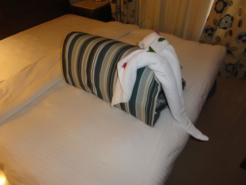 Slon SUNRISE Cardina Resort