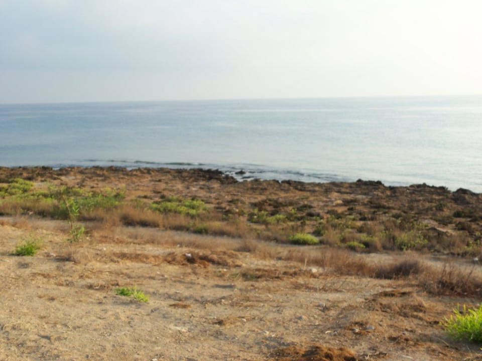 Strandabschnitt Crystal Springs Beach Hotel