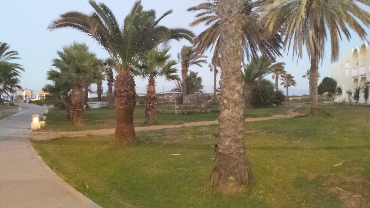 Garten Hotel Marhaba Club