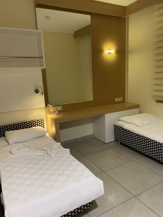 Zimmer AQI Pegasos World