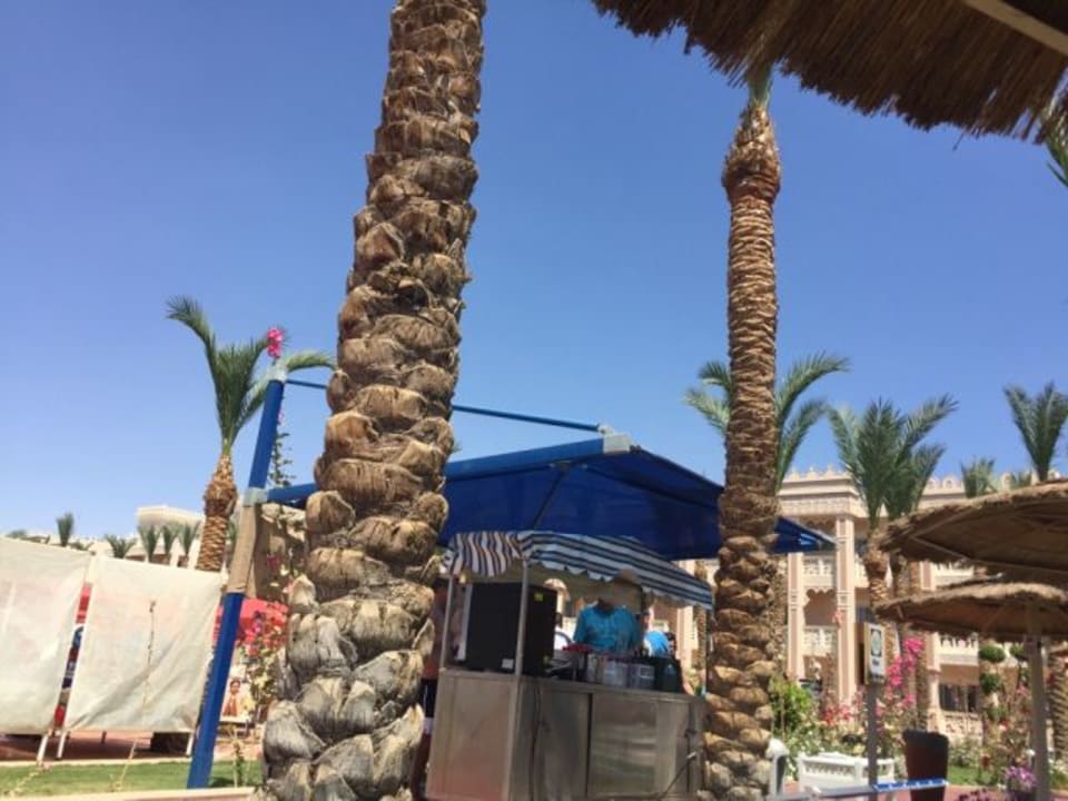 Sonstiges Pickalbatros Palace Resort