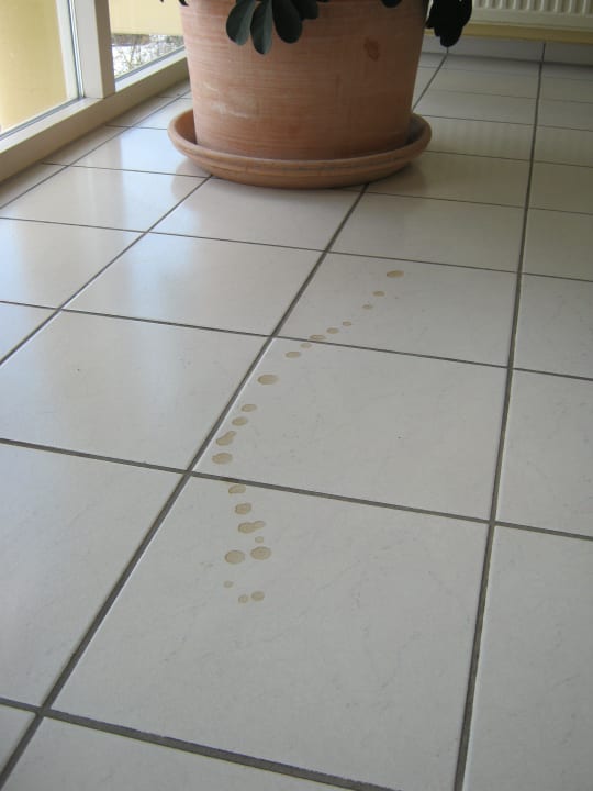 Mmh Lecker Center Parcs Park Hochsauerland