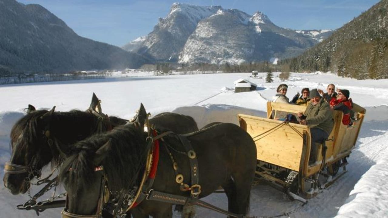 Idyllische Pferdeschlittenfahrt im Winter Hotel - Wirts'haus Zum Schweizer