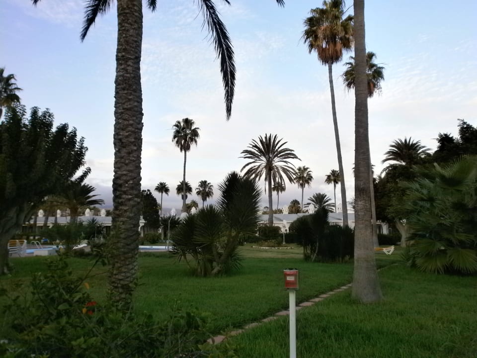 Liegefläche Sahara Beach Club