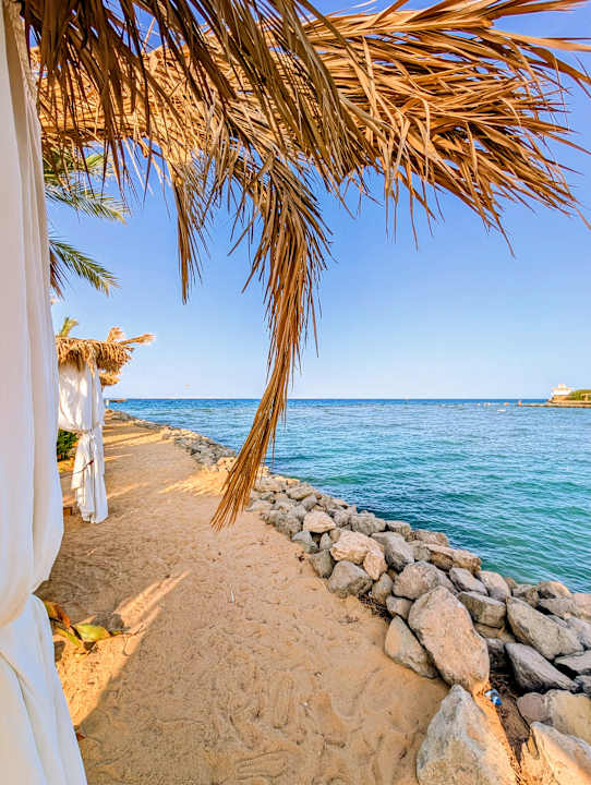 Ausblick Desert Rose