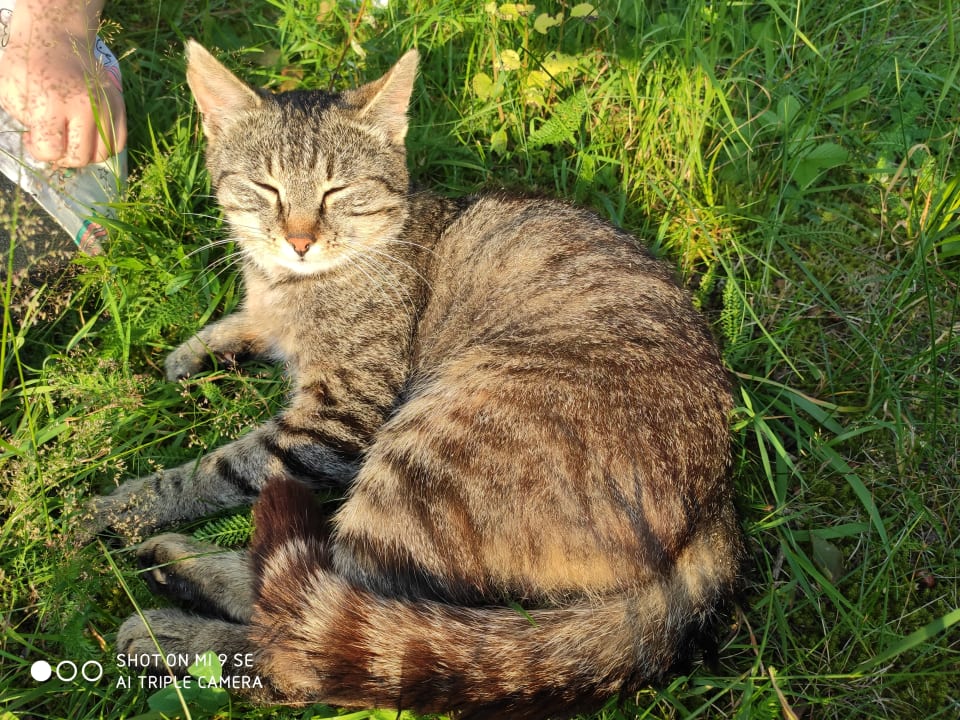 Sonstiges Obergrafenberger Bauernhof