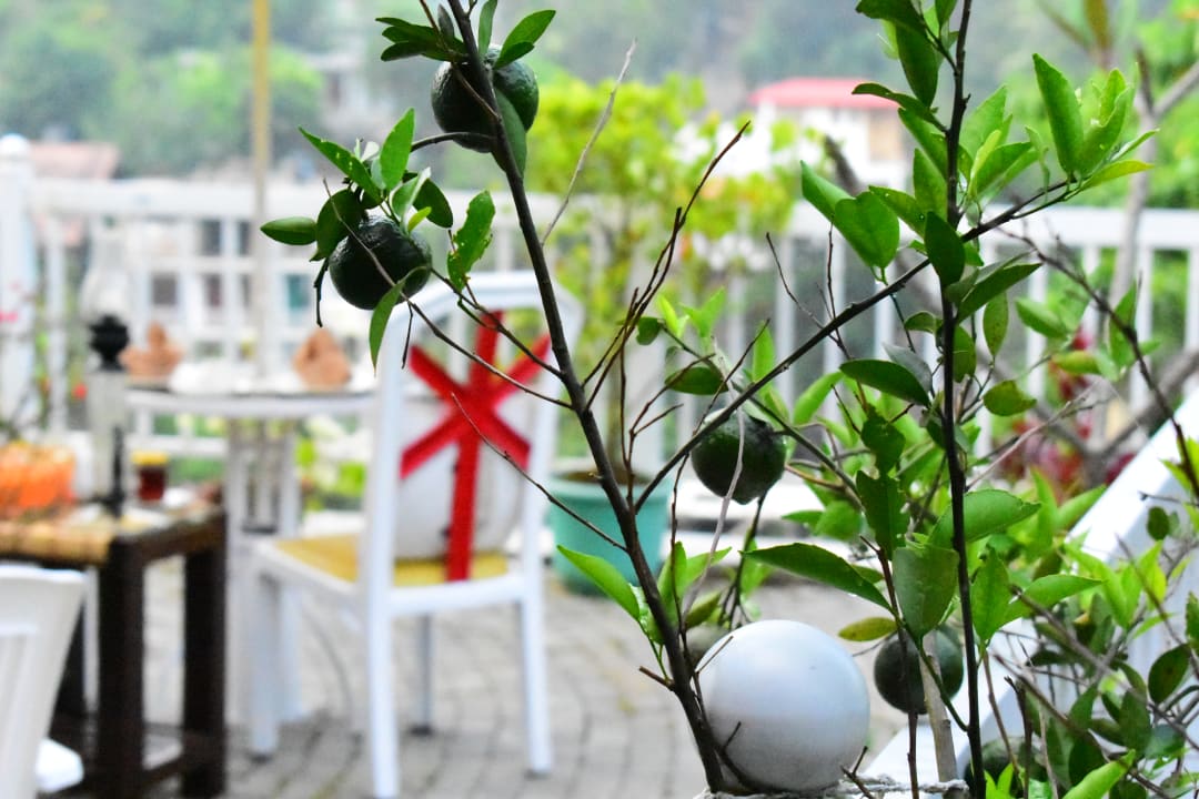 Ausblick Notting Hill Country House