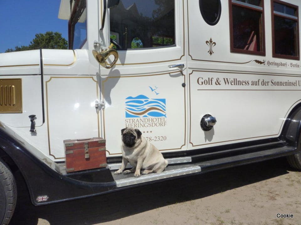 Auf Wiedersehen bis zum nächsten Jahr Strandhotel Heringsdorf