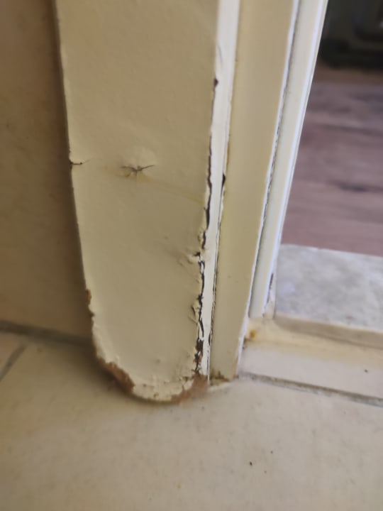 Zimmer Dg Hotels Rose Resort