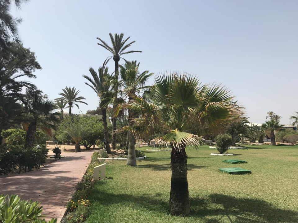 Gartenanlage Aldiana Club Djerba Atlantide