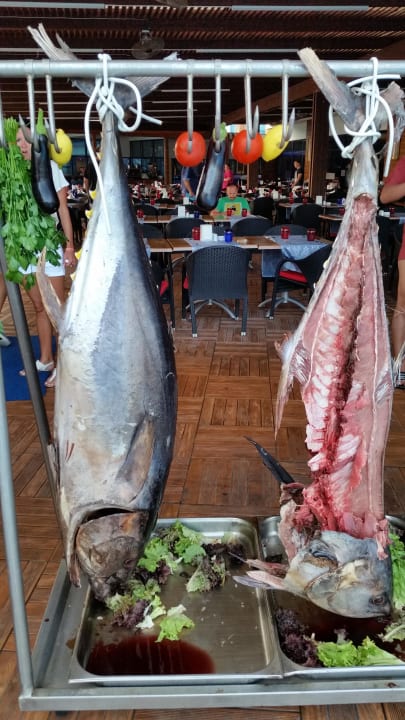 Thunfisch Granada Luxury Okurcalar