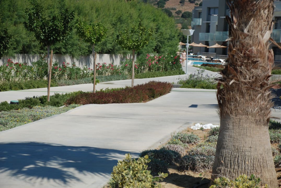 Gartenanlage mit Sharing-Pool im Hintergrund Akti Palace Resort & Spa