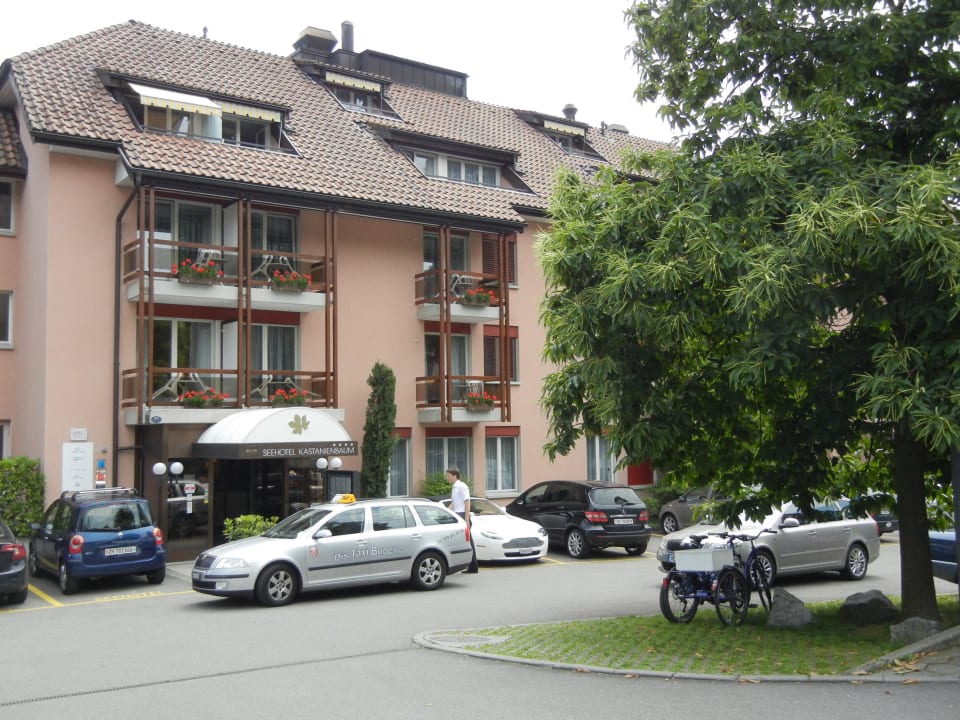 Blick von der Straße zum Hoteleingang Seehotel Kastanienbaum