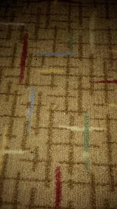 Boden  Hotel Ideal Beach