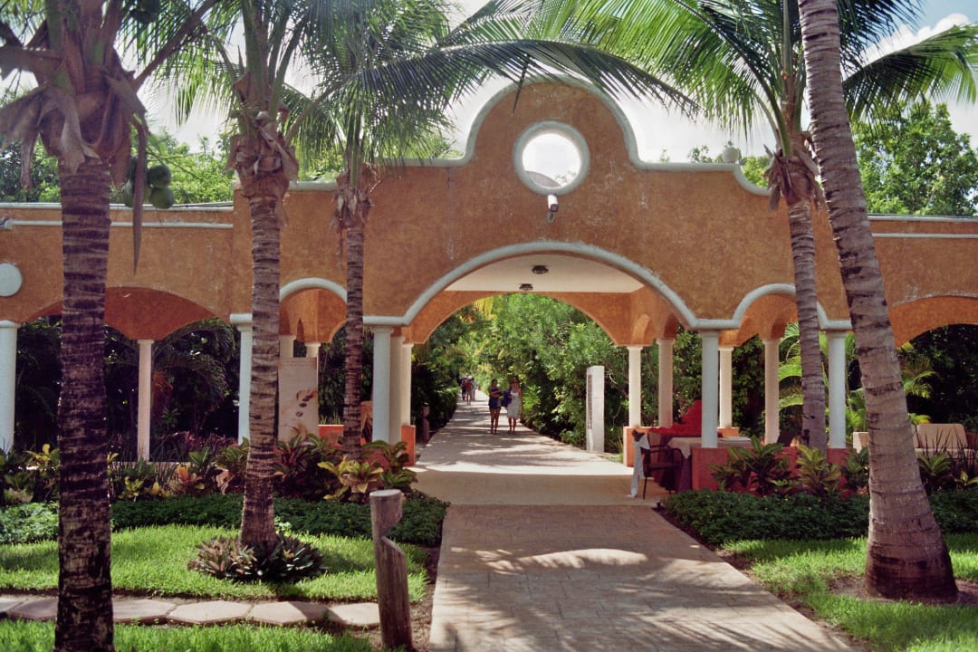 Die Hauptader Catalonia Playa Maroma