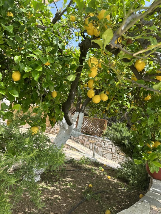 Gartenanlage Ataviros Hotel