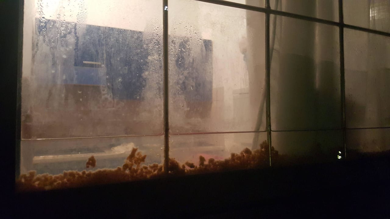 Fenster Ansicht von Außen Residence Hotel La Taverna