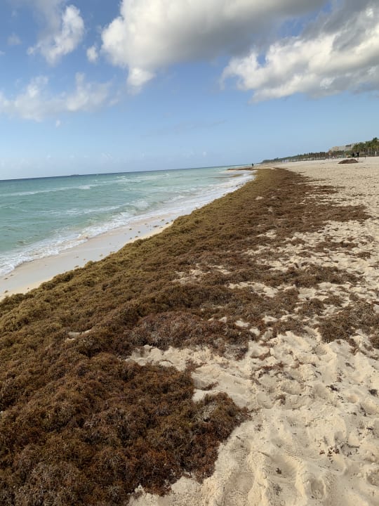 Strand Iberostar Waves Quetzal