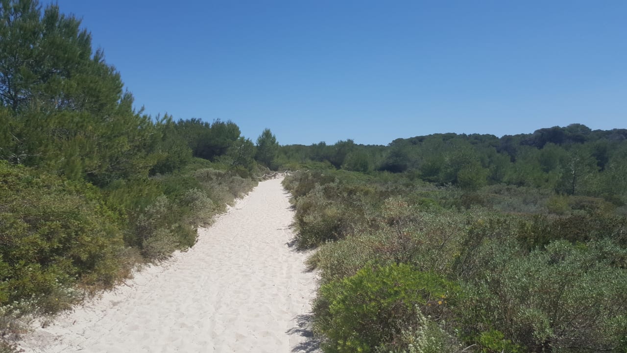 Strand Valentin Playa de Muro