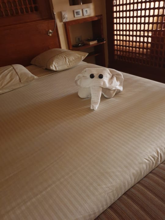 Zimmer Grand Waterworld Makadi & Family Star Makadi