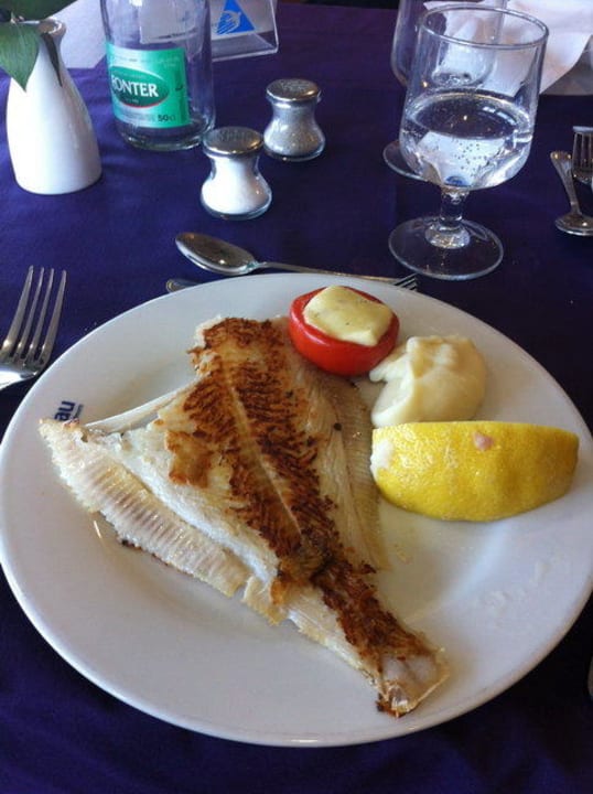 Fisch.. blau punta reina