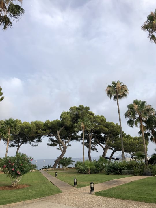 Gartenanlage Hipotels Eurotel Punta Rotja Golf & Spa