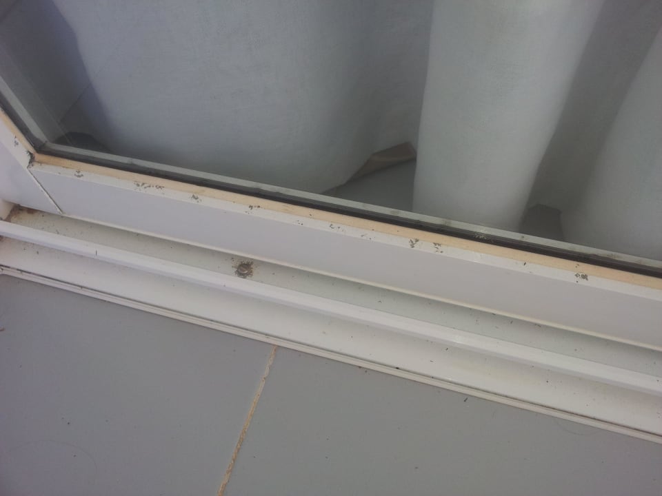 Grausig Hipotels Mediterraneo Club