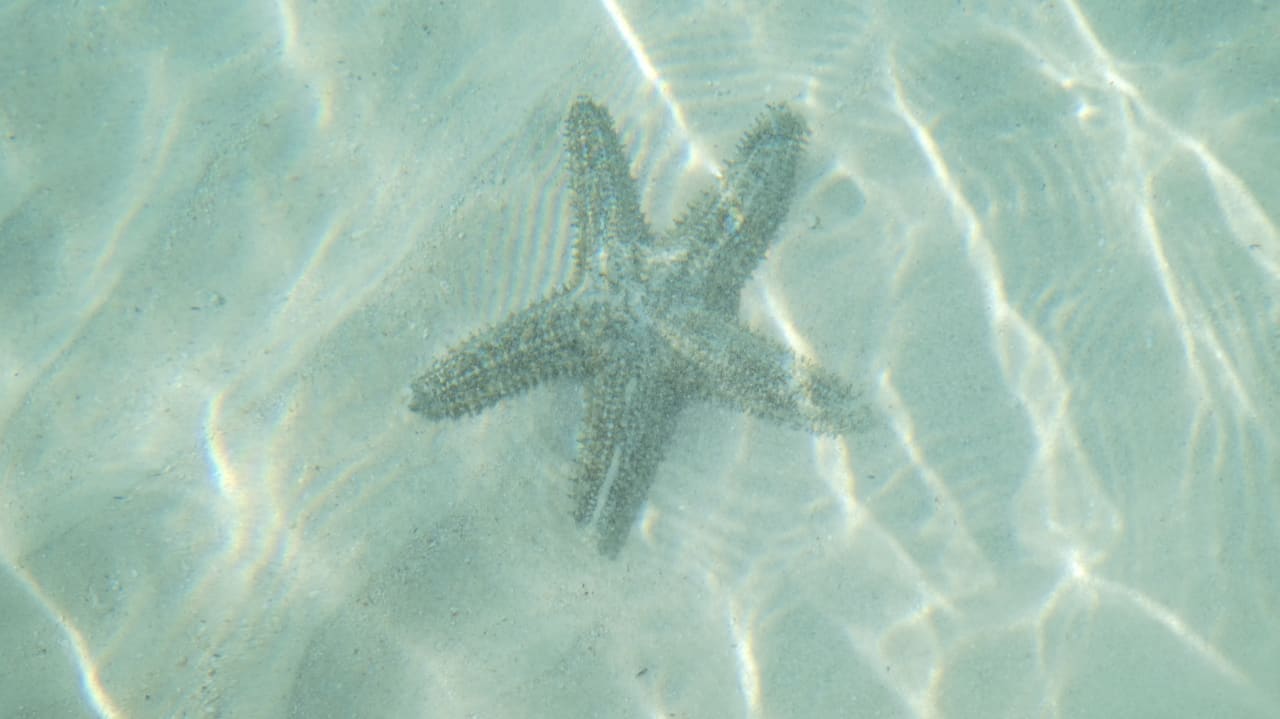 Strand Crystals Beach Resort Belle Mare, a member of Radisson Individuals