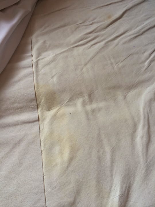 Eklig. darauf kann keiner schlafen. ECONTEL Hotel München