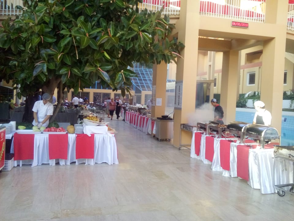 Gastro Asteria Collection Side