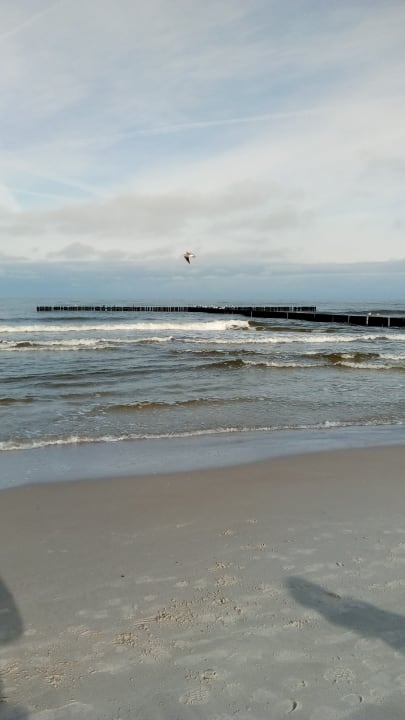 Strand Ferienanlage Vierjahreszeiten