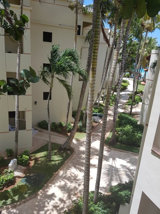 Ausblick Hotel Viva Dominicus Beach by Wyndham - All Inclusive Resort