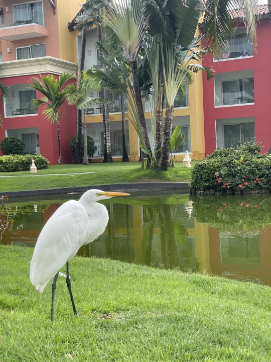 Außenansicht Tropical Deluxe Princess