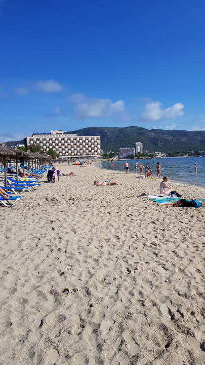 Strand Zafiro Palmanova