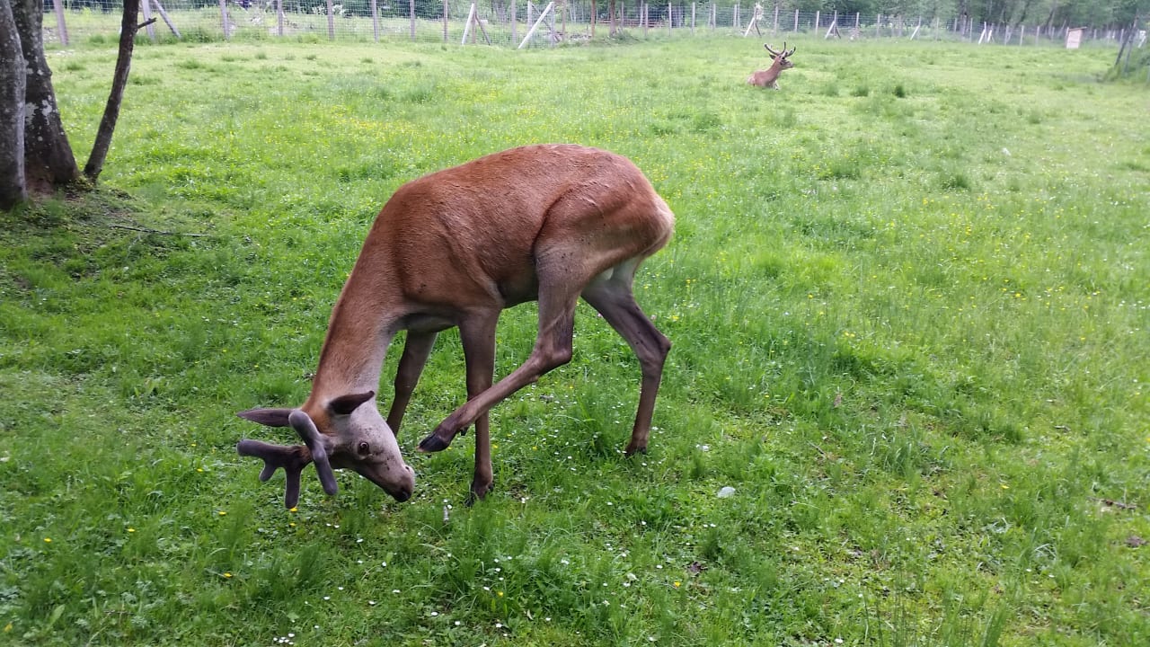 Sonstiges Gut Wenghof - Family Resort