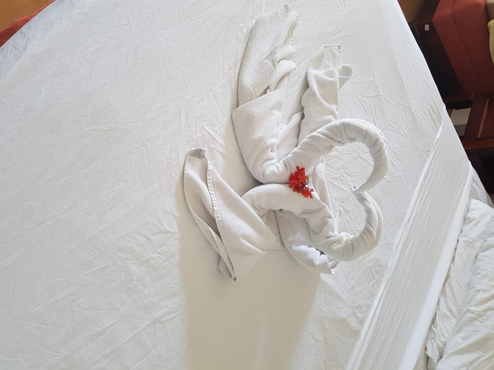 Zimmer Iberostar Origin Laguna Azul