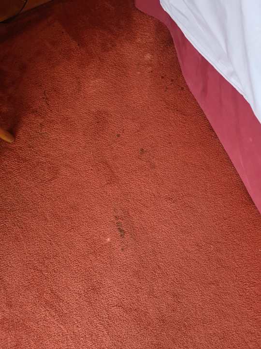 Zimmer Hotel Le Jean-Sébastien Bach Strasbourg