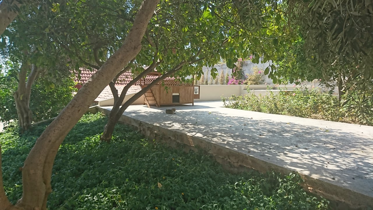 Garten Arum Barut Collection