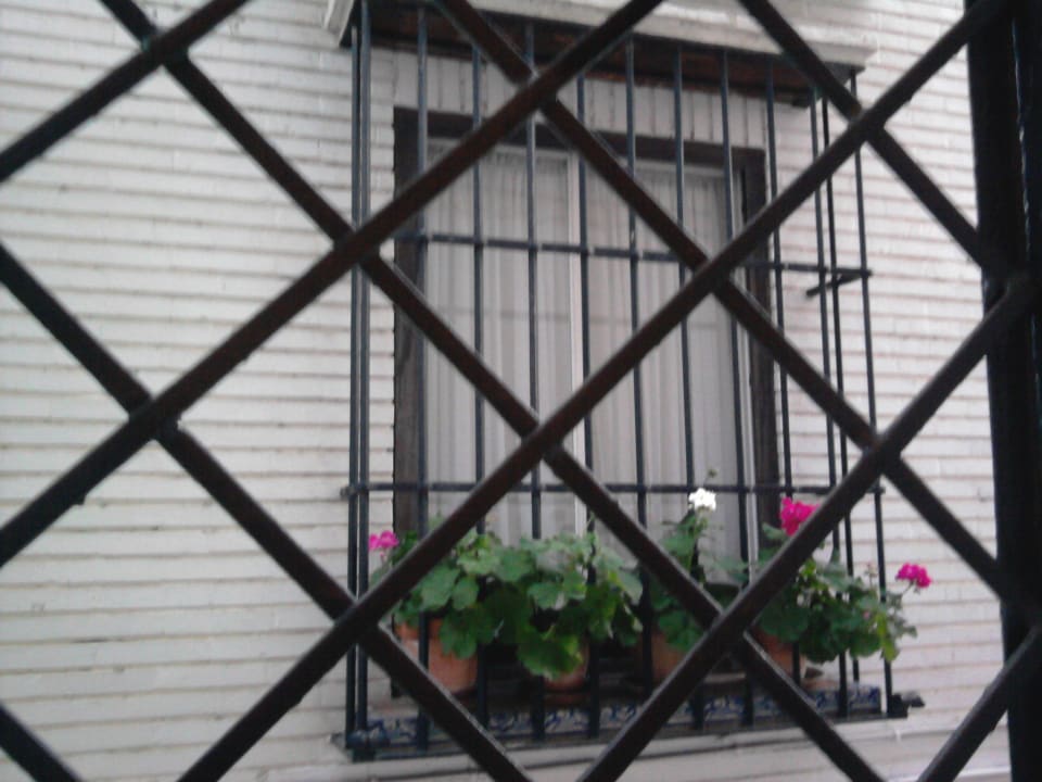 Ausblick aus unserem Zimmer Villa La Vía Mezquita