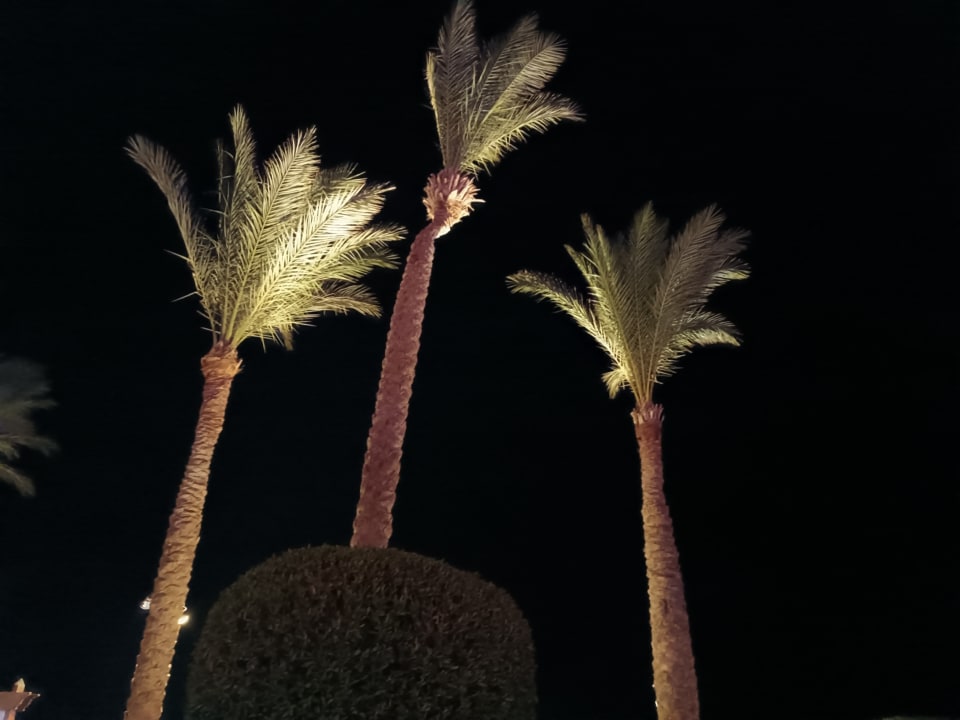 Gartenanlage Cleopatra Luxury Resort Makadi Bay