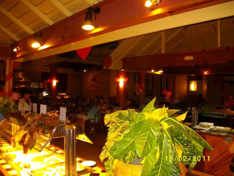 Einfach klasse Grand Palladium Select Bávaro Resort & Spa