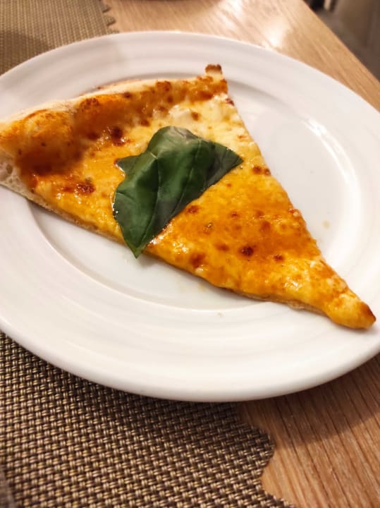 Gastro Acanthus Cennet Barut Collection