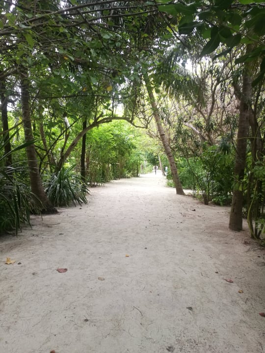 Sonstige Summer Island Maldives