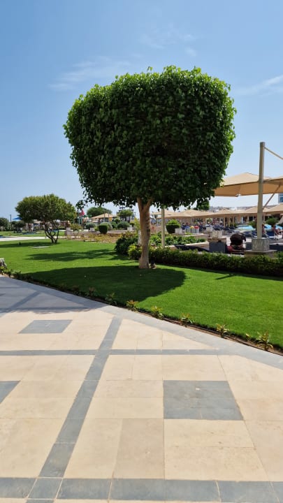 Pool Pickalbatros White Beach Resort - Hurghada