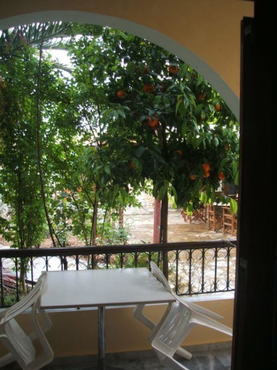 Blick aus dem Schlafzimmer auf den Orangenbaum Hotel Ilena