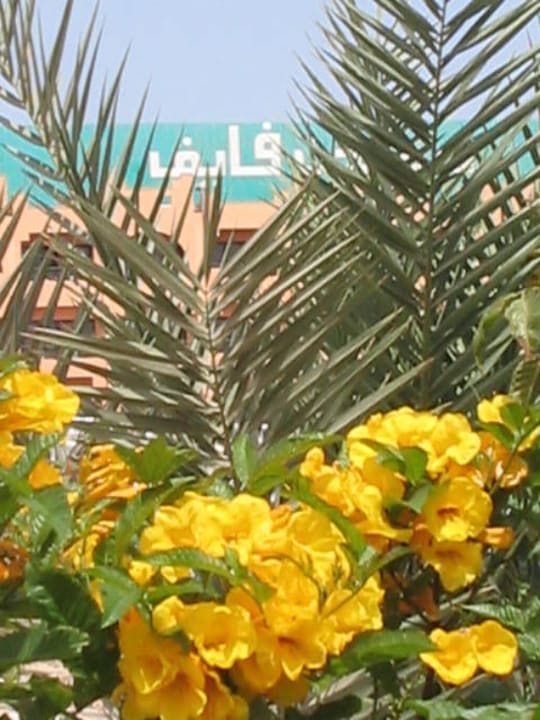 Viele Blumen ... Blend Club Aqua Resort