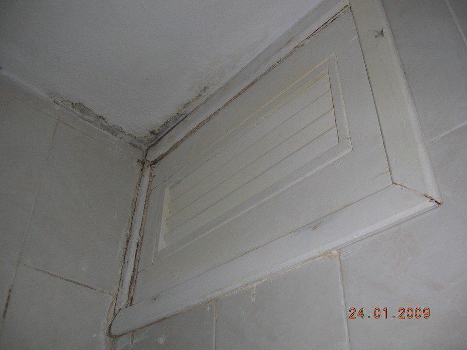 Schimmel Hotel Villa Cuba