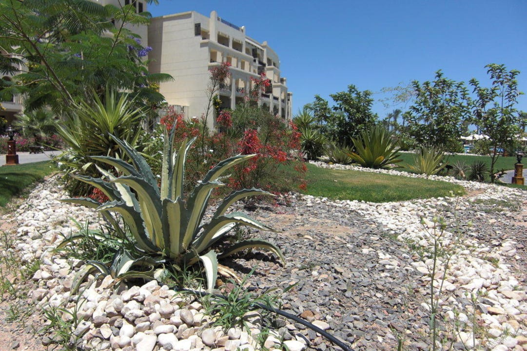 Schön gemacht Steigenberger ALDAU Beach Hotel