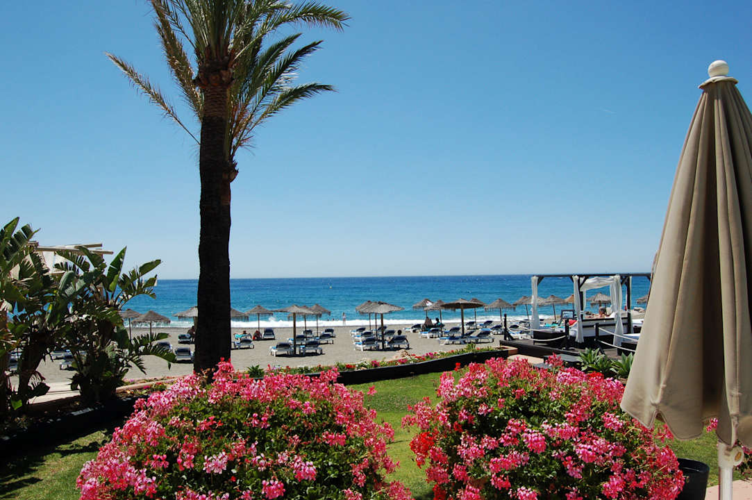 Blick auf strand Hotel Guadalmina, managed by Barceló